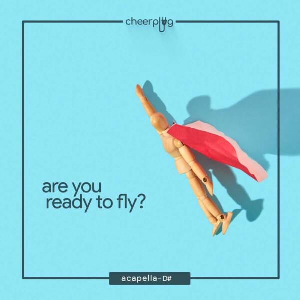 Are You Ready To Fly D 8×8 Counts Cheerplug